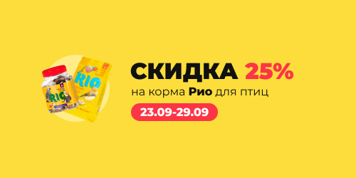 -25% на корма Рио для птиц  