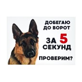 Табличка "Добегаю до ворот за 5 секунд. Проверим?" формат А5 (148 мм * 210 мм), ДАРЭЛЛ