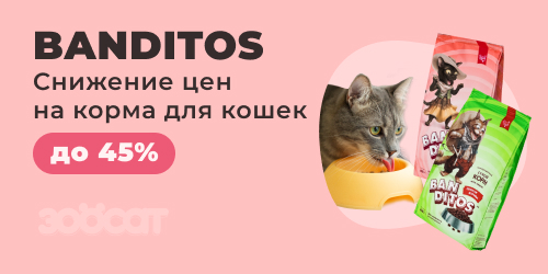 Распродажа кормов Banditos для кошек, скидки до 45%