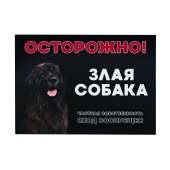 Табличка "Осторожно! Злая собака" формат А5 (148 мм * 210 мм), ДАРЭЛЛ