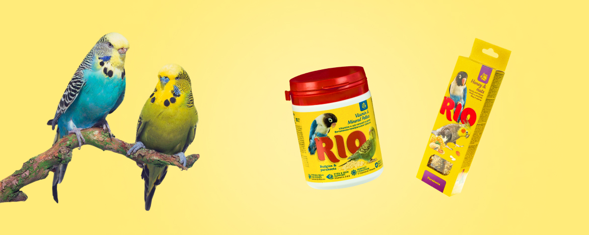 Лакомства RIO для декоративных птиц