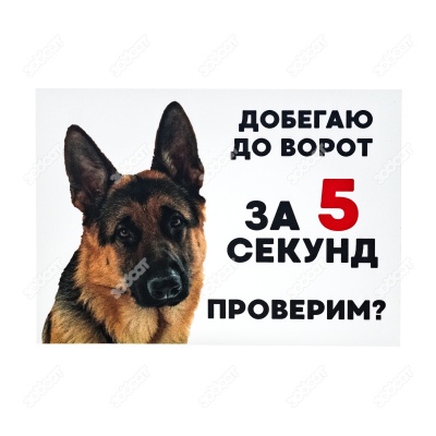 Табличка "Добегаю до ворот за 5 секунд. Проверим?" формат А5 (148 мм * 210 мм), ДАРЭЛЛ